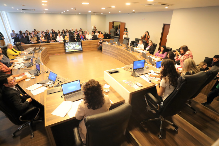 Reunião ocorreu na tarde desta quinta-feira (25), no Auditório Legislativo.