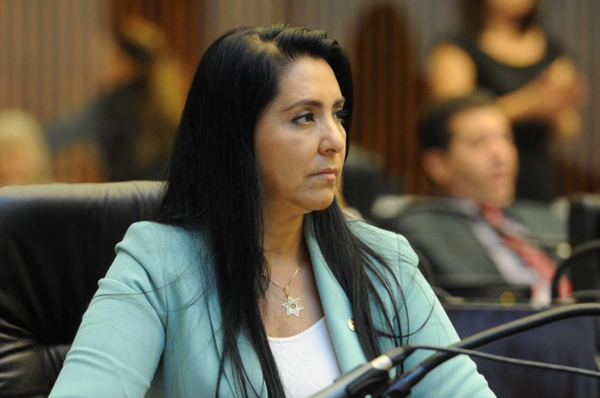 Deputado Cantora Mara Lima (PSDB).