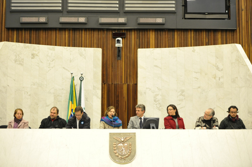 Deputado Tadeu Veneri (PT) representou a Comissão dos Direitos Humanos e da Cidadania da Alep