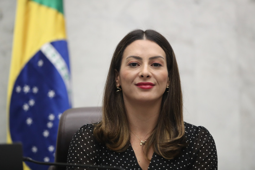 A deputada Mabel Canto (PSDB) é a líder da Bancada Feminina.