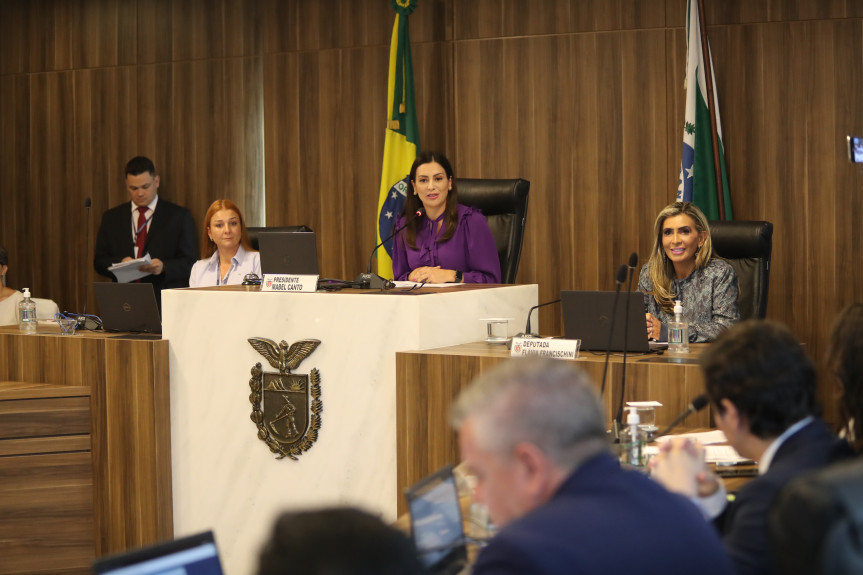 Em 2023, a reunião em ocasião do Dia Internacional das Mulheres foi presidida pela deputada Mabel Canto (ao centro). A deputada Flávia Francischini (à direta) atuou a vice-presidente da Comissão.