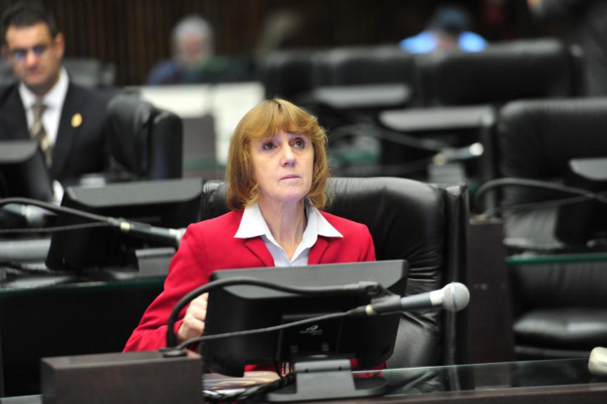 Deputada Luciana Rafagnin (PT): tratamento acarreta em debilidades motoras.