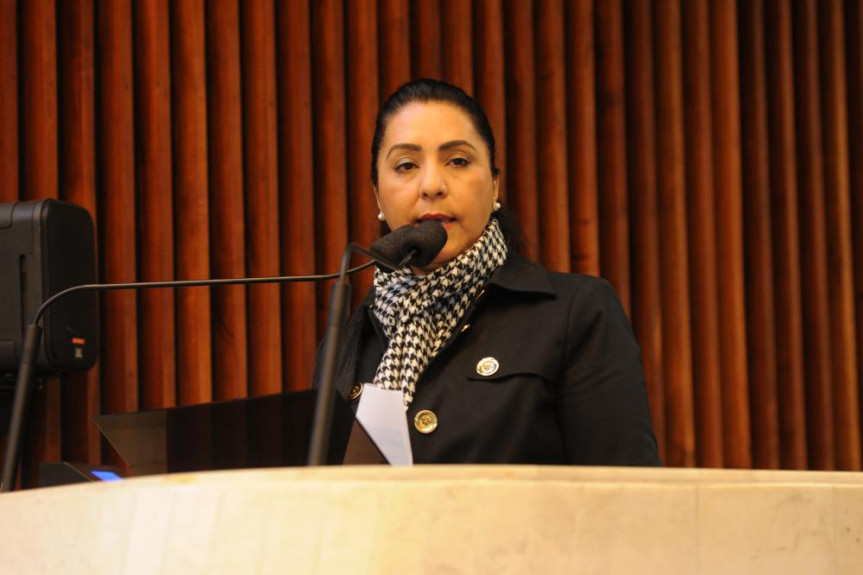 Deputada Mara Lima ( PSDB).