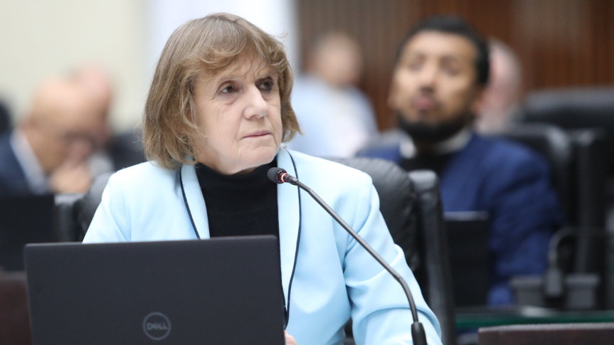 Deputada Luciana Rafagnin (PT).