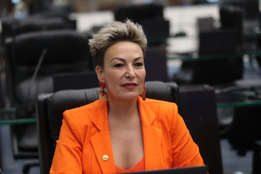 A deputada Cloara Pinheiro (PSD) é a Procuradora Especial da Mulher da Assembleia Legislativa do Paraná.