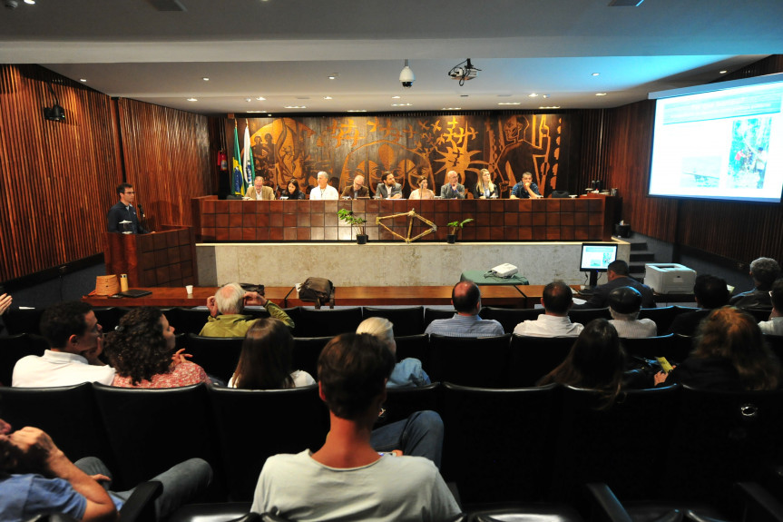 Audiência pública discutiu a Cultura do Bambu no Paraná.