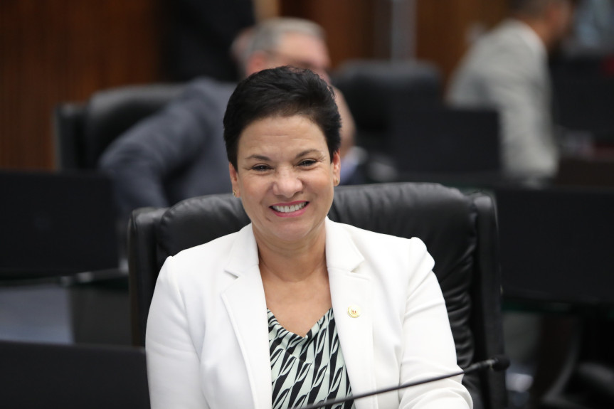 A parlamentar indicou recursos por meio de programas do Governo do Estado, para a saúde e educação dos municípios da região metropolitana de Curitiba.