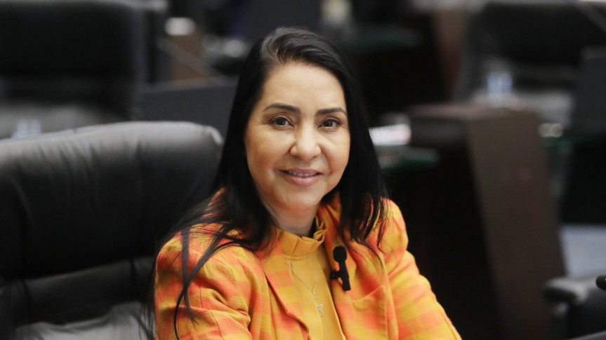 Ação foi instituída por meio da Lei Estadual 19.920/2019, assinada pela deputada Cantora Mara Lima (Republicanos).