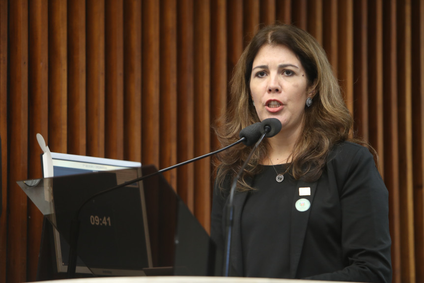 O horário do grande expediente da sessão foi utilizado para a apresentação do Projeto de Irrigação Noroeste.