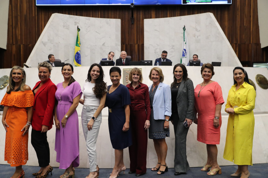 A premiação será conferida anualmente pela Assembleia a dez mulheres indicadas pela Bancada Feminina, nas comemorações do Dia Internacional da Mulher, em 8 de março.