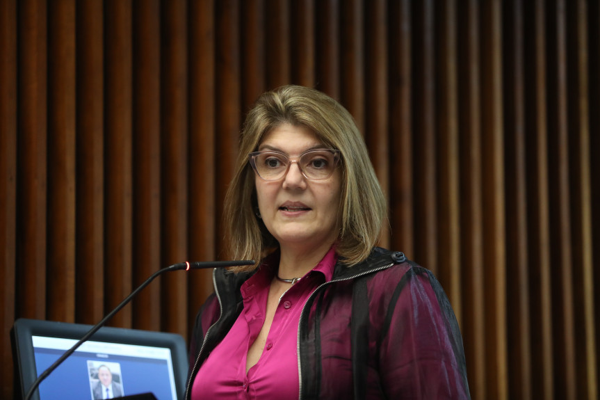 A secretária de Educação de Curitiba, Maria Silvia Bacila, falou sobre o cadastro escolar on line, critérios, procedimentos e auditoria e dados na rede municipal de ensino da capital.