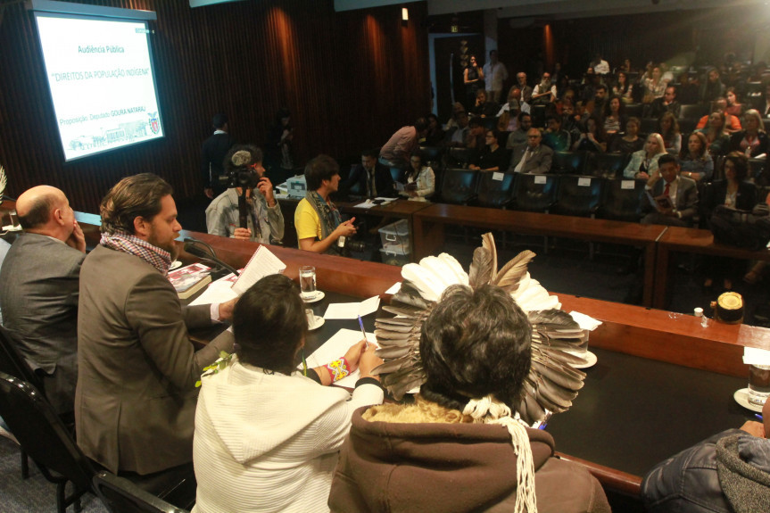 Proposto pelo deputado Goura (PDT), o evento reuniu a comunidade indígena que reivindica atenção à demarcação das terras, a educação e a saúde.