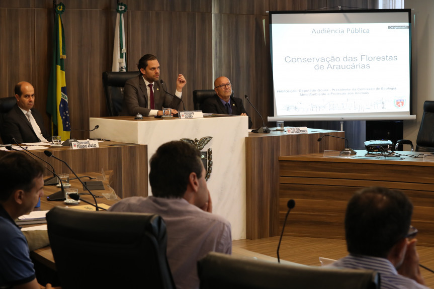 Audiência Pública debateu a conservação das florestas de Araucária no Paraná.