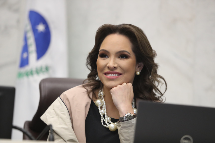 “A gente quer auxiliar com ações coordenadas e integradas para que o Paraná seja protagonista nessa tecnologia", afirma a deputada Maria Victoria (PP).
