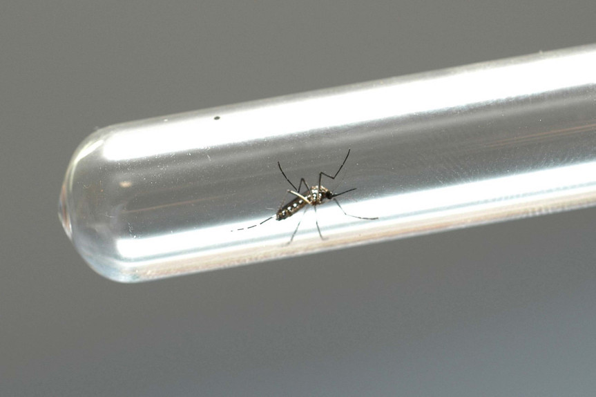 De acordo com o último informe da dengue divulgado pelo governo, o Estado registrou 3.593 novos casos, sem novos óbitos pela doença.