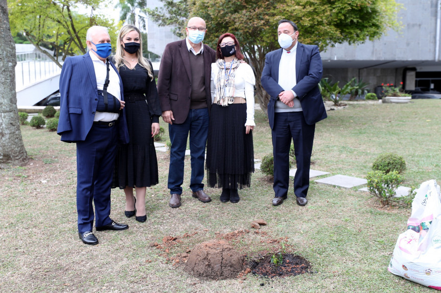 Mudas são plantadas na Assembleia em celebração ao Dia da Árvore
