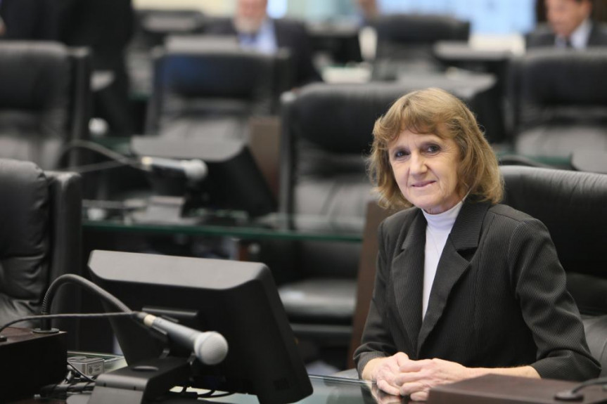 A deputada Luciana está organizando uma reunião com representantes do setor.