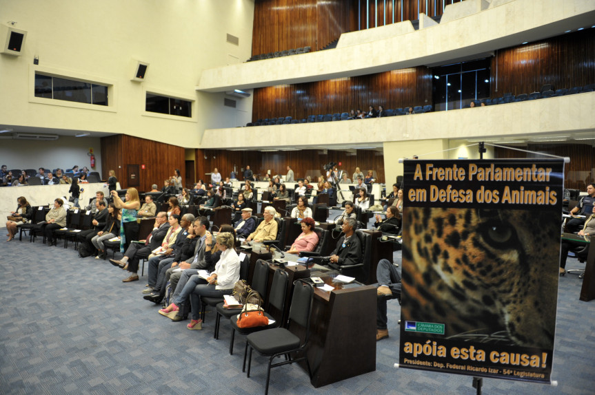 1° Seminário “Políticas Públicas, Direitos e Defesa dos Animais”