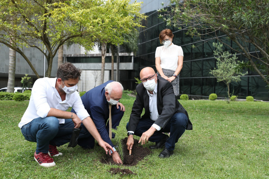 O dia 21 de setembro, Dia da Árvore, é tradicionalmente celebrado pelo Poder Legislativo com ações de incentivo à conscientização pela preservação do meio ambiente.