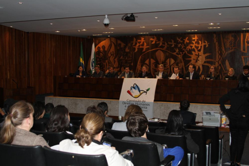  Audiência Pública sobre "Legislação Federal da Criança e do Adolescente"