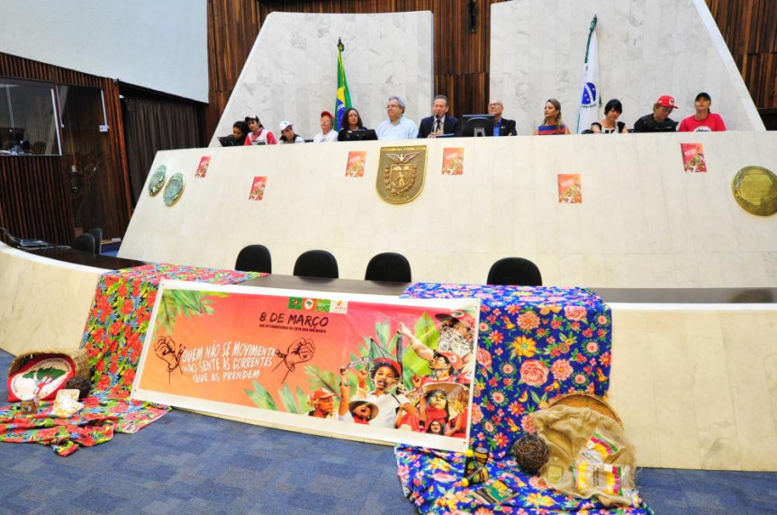 Audiência pública sobre "O combate da violência contra as mulheres do campo".