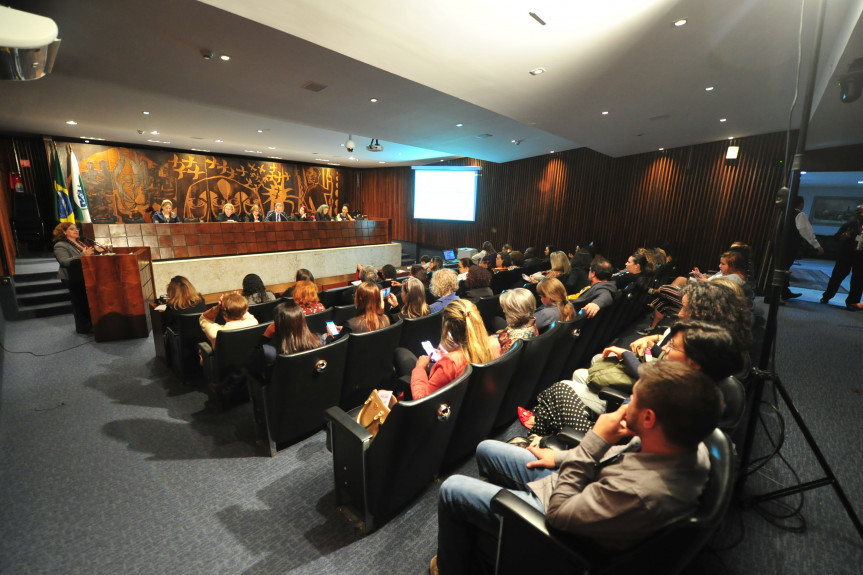 “Políticas Públicas para as Mulheres: Conquistas e Desafios” foi o tema do encontro proposto pela deputada Luciana Rafagnin (PT).