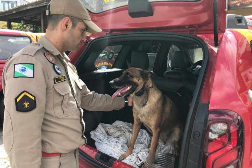 Brida, uma pastor Malinois, e seu condutor, o soldado bombeiro João Carlos Alves, fizeram parte da equipe de resgate.