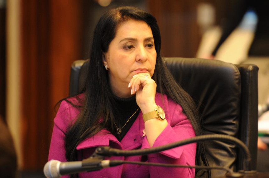 Deputada Mara Lima ( PSDB).