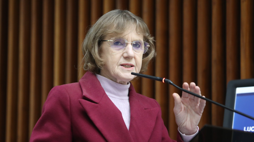 A deputada estadual Luciana Rafagnin (PT) é líder do Bloco da Agricultura Familiar.