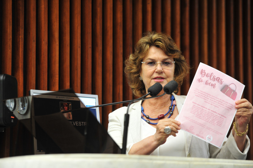 Bolsas do Bem é o nome da campanha desenvolvida pela Procuradoria da Mulher da Alep para arrecadar produtos de higiene para mulheres em tratamento de câncer de mama.