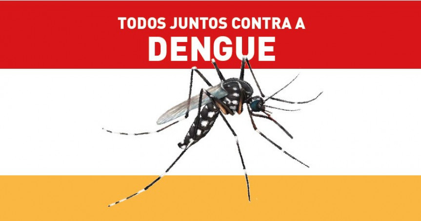 Não esqueça a dengue !