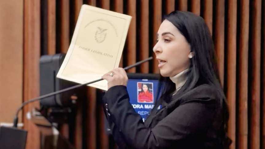 Deputada Cantora Mara Lima (Republicanos).