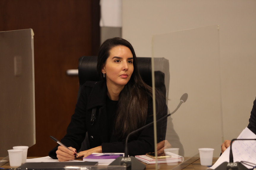Carolina Fontes Vieira, doutoranda em Direito.