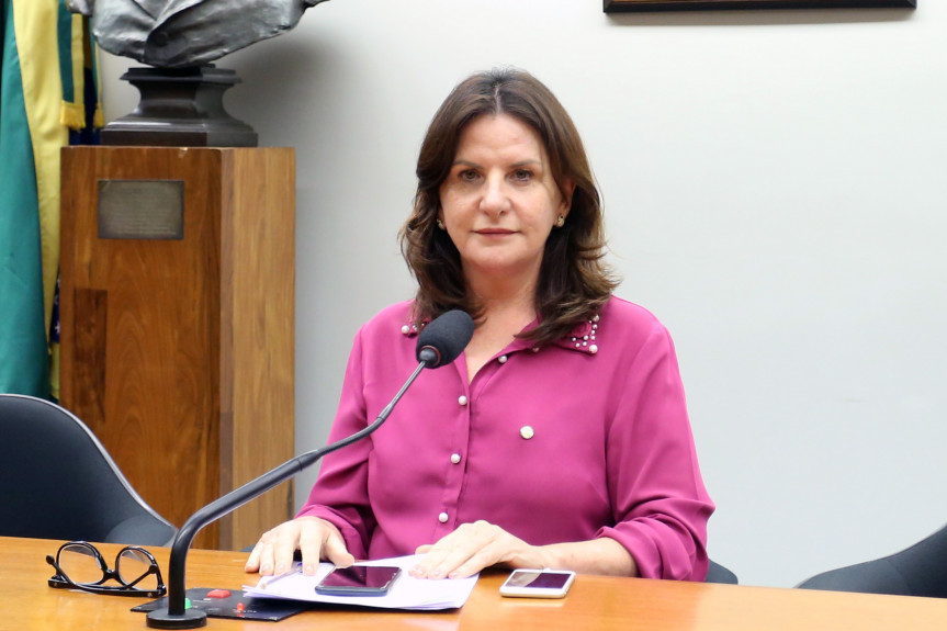 Deputada federal catarinense Carmen Zanotto (CDN)
