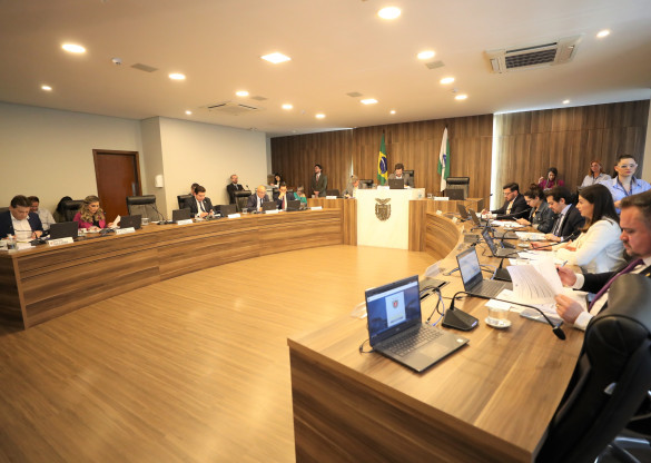 CCJ aprova proposta que muda coletores de lixo em locais públicos