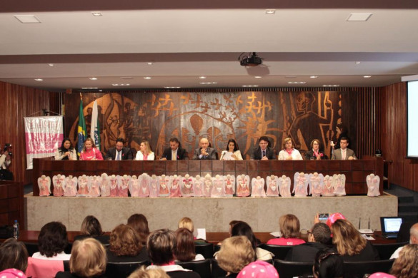 Encontro defende ampliação do tratamento do câncer de mama pelo SUS