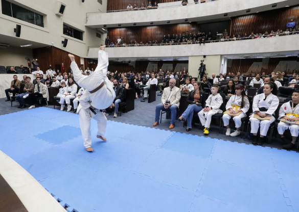 Assembleia Legislativa celebra conquistas e trajetórias vitoriosas de atletas das artes marciais