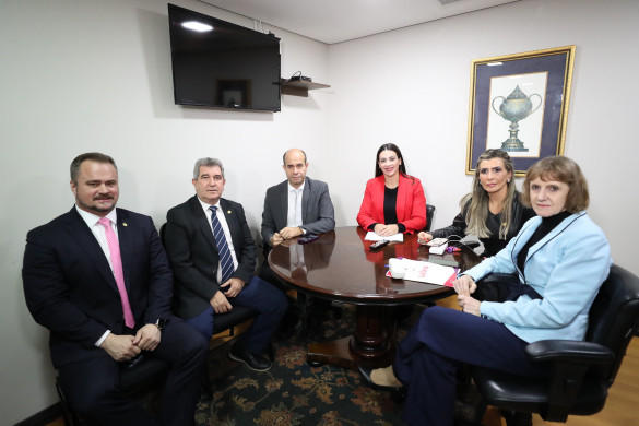 Comissão Especial é formada para finalizar o Código do Autismo do Paraná
