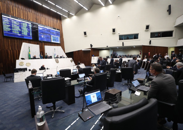 Assembleia Legislativa aprova projeto de lei que promove segurança emocional das mães paranaenses