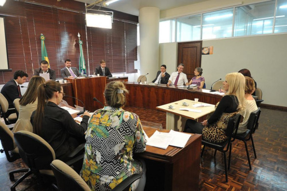 Comissão de Revisão do Regimento Interno da Assembleia conclui análise e votação de propostas