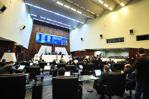 Assembleia aprova indicação de tipagem sanguínea em documentos de recém-nascidos