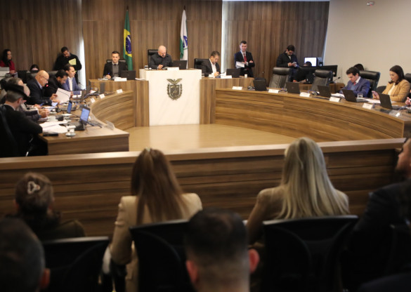 CCJ aprova emendas ao projeto que cria o Programa de Pagamento de Recompensas no Paraná