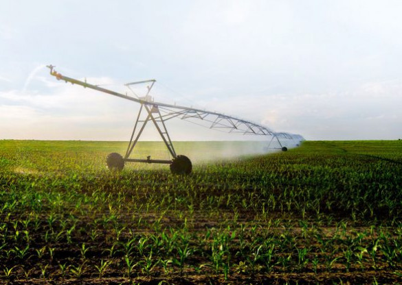 Programa de Irrigação no Noroeste do Paraná é tema do grande expediente da sessão plenária