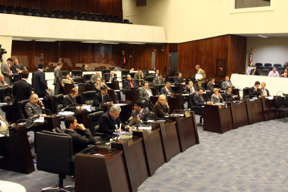 Projeto assegura aproveitamento de árvores nativas derrubadas por causas naturais
