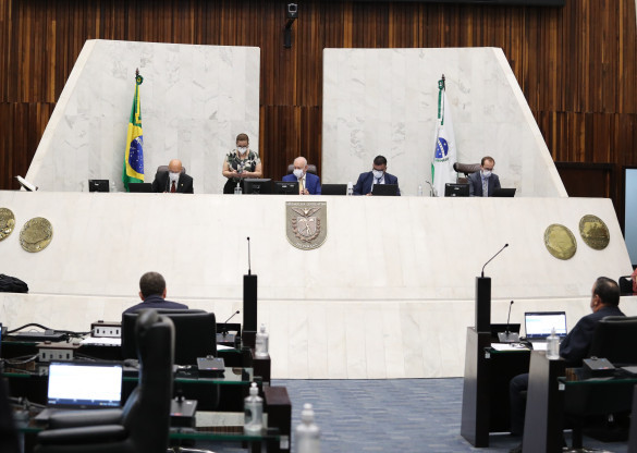 Deputados aprovam campanha que busca a inserção de mulheres vítimas de violência no mercado de trabalho