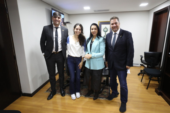 Comissão da Juventude planeja trabalhos para primeiro semestre na Assembleia