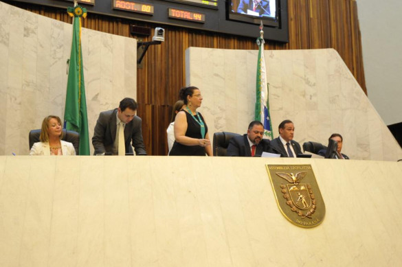 Deputados aprovam projeto que garante aos idosos gratuidade no transporte intermunicipal