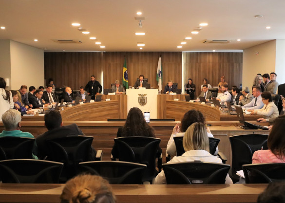 CCJ inicia discussão de projeto que institui credenciamento e seleção para escolha de diretores escolares