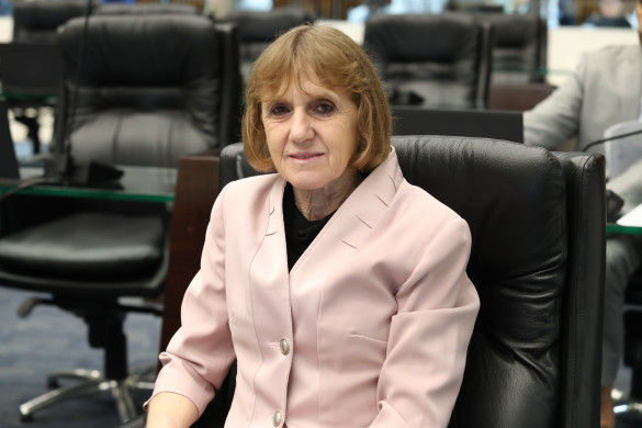 Deputada Luciana Rafagnin (PT) defende criação de frente parlamentar para atuar no combate à fome no estado