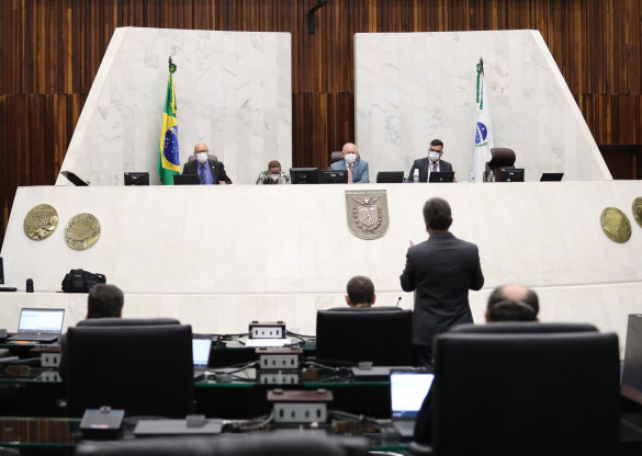 Aprovado projeto que cria portal único para localizar animais de estimação ou aptos para adoção
